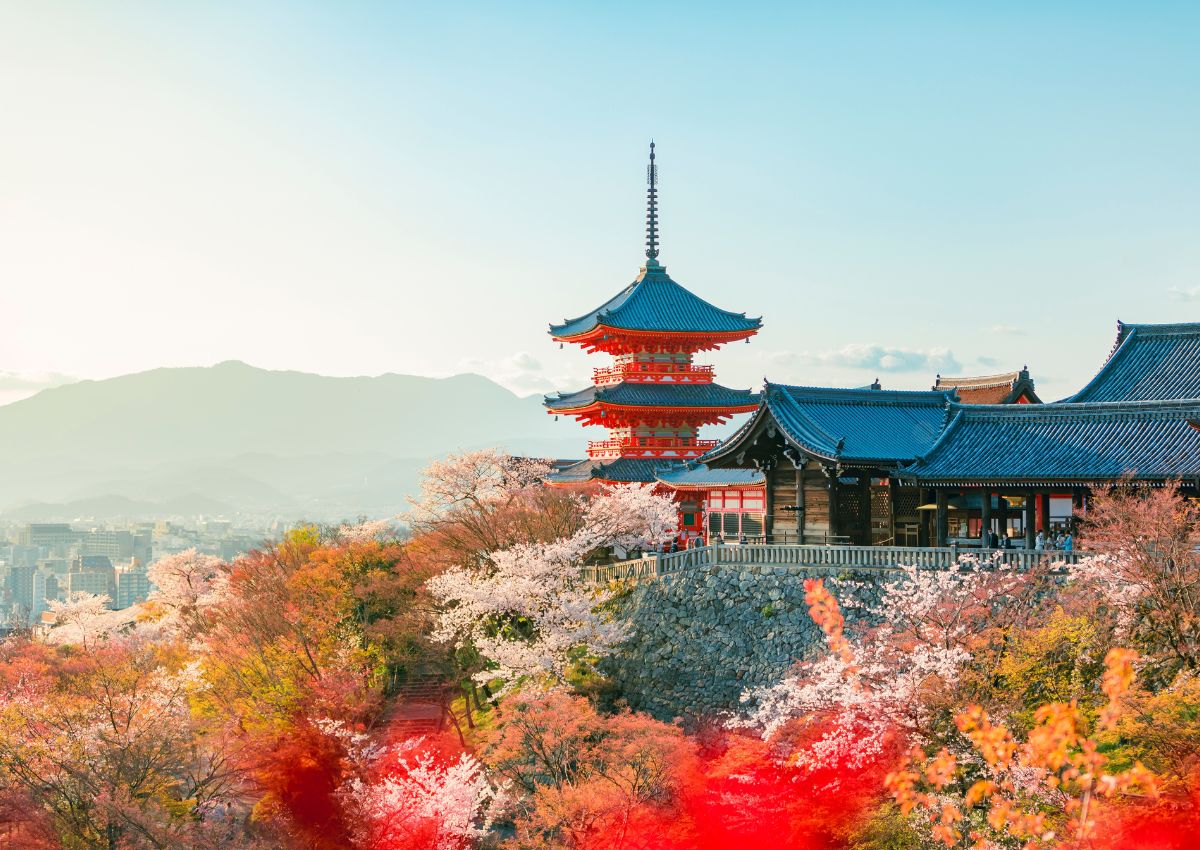 Japoni – Tur 8 Ditor