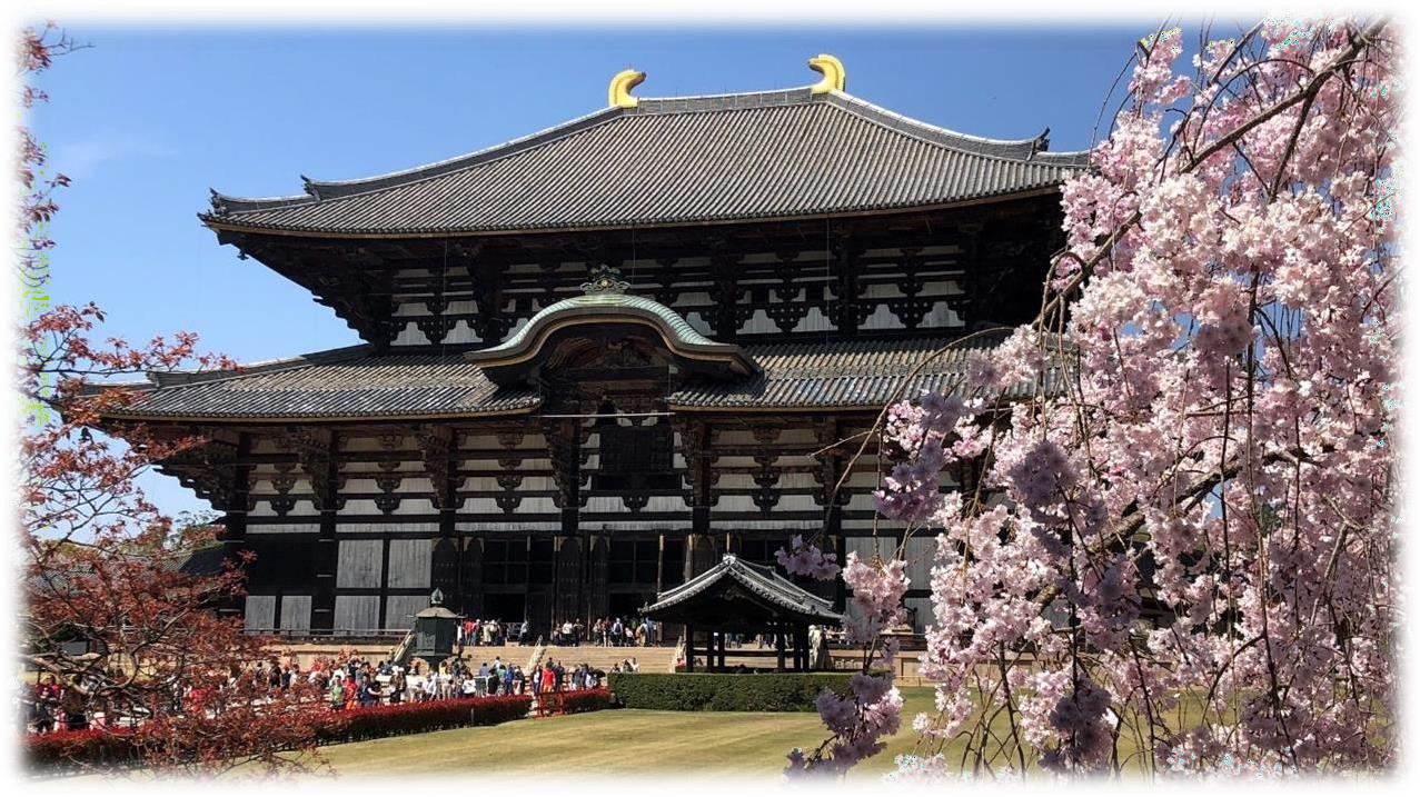Japoni – Tur 8 Ditor